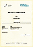 Sistemi Formativi Certificate of Attendance Sistemi Formativi Certificate of Attendance